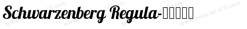 Schwarzenberg Regula字体转换